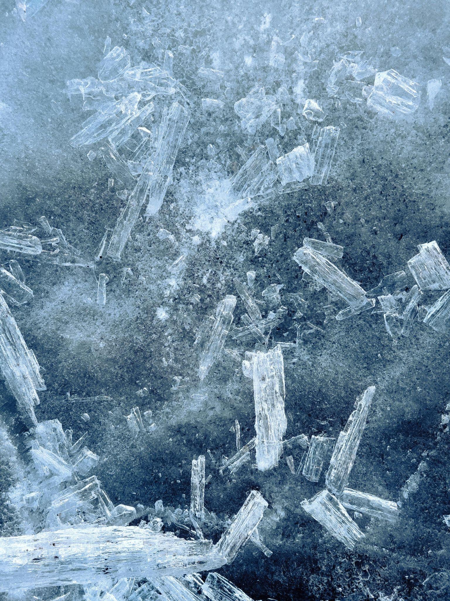 Tortorella Blog Expect The Unexpected What Winter Can Do To Your Pool 1 Htm 2798aeda