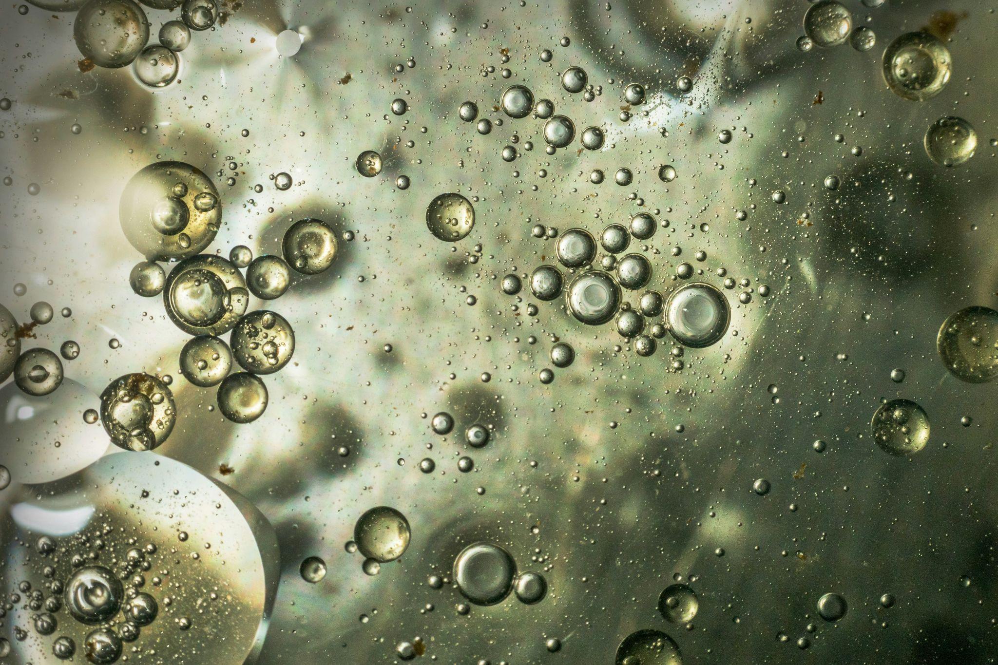 Tortorella Blog The Importance Of Maintaining And Servicing Chemical Feeders 1 Htm E37317be1f41ba4a